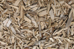 biomass boilers Celyn Mali